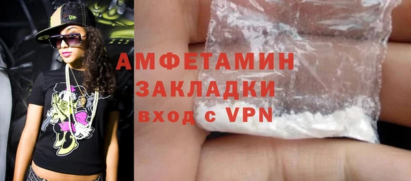 хмурый Верея