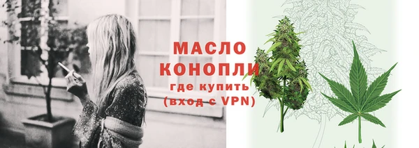 хмурый Верея