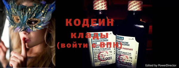 хмурый Верея