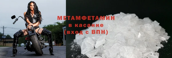 хмурый Верея