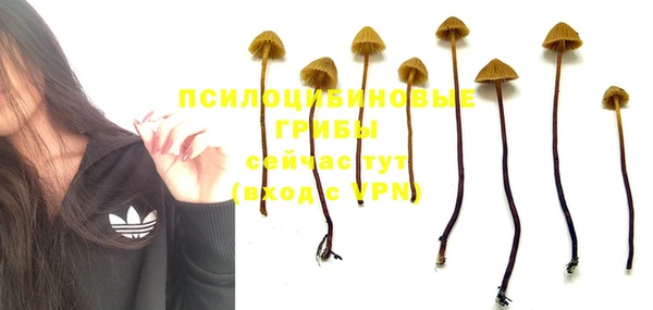 ALPHA PVP Верхний Тагил
