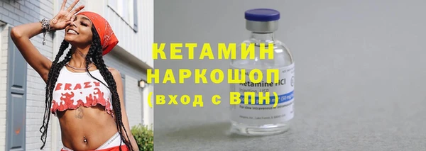 хмурый Верея