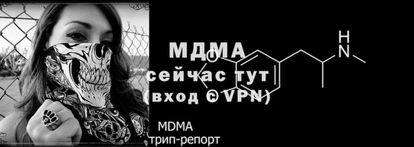 хмурый Верея