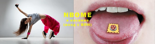 хмурый Верея