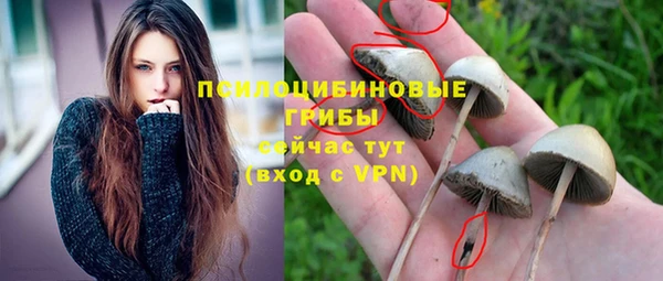 хмурый Верея